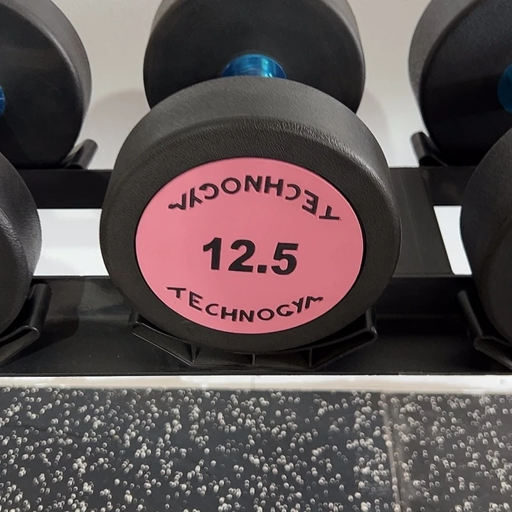 全新纯钢泰诺哑铃12.5公斤一对灰色