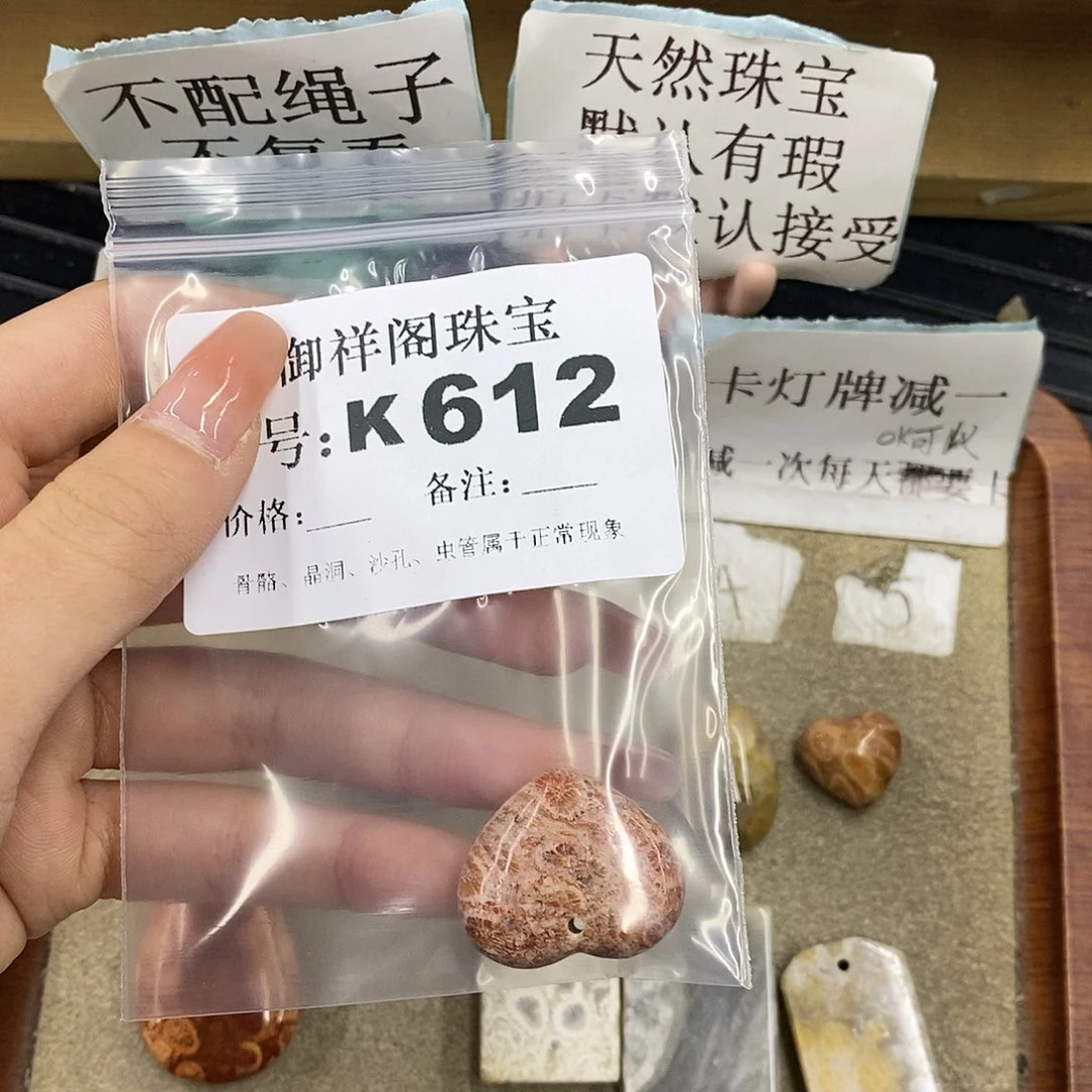 硅化珊瑚（珊瑚玉）未镶嵌颈饰b*m