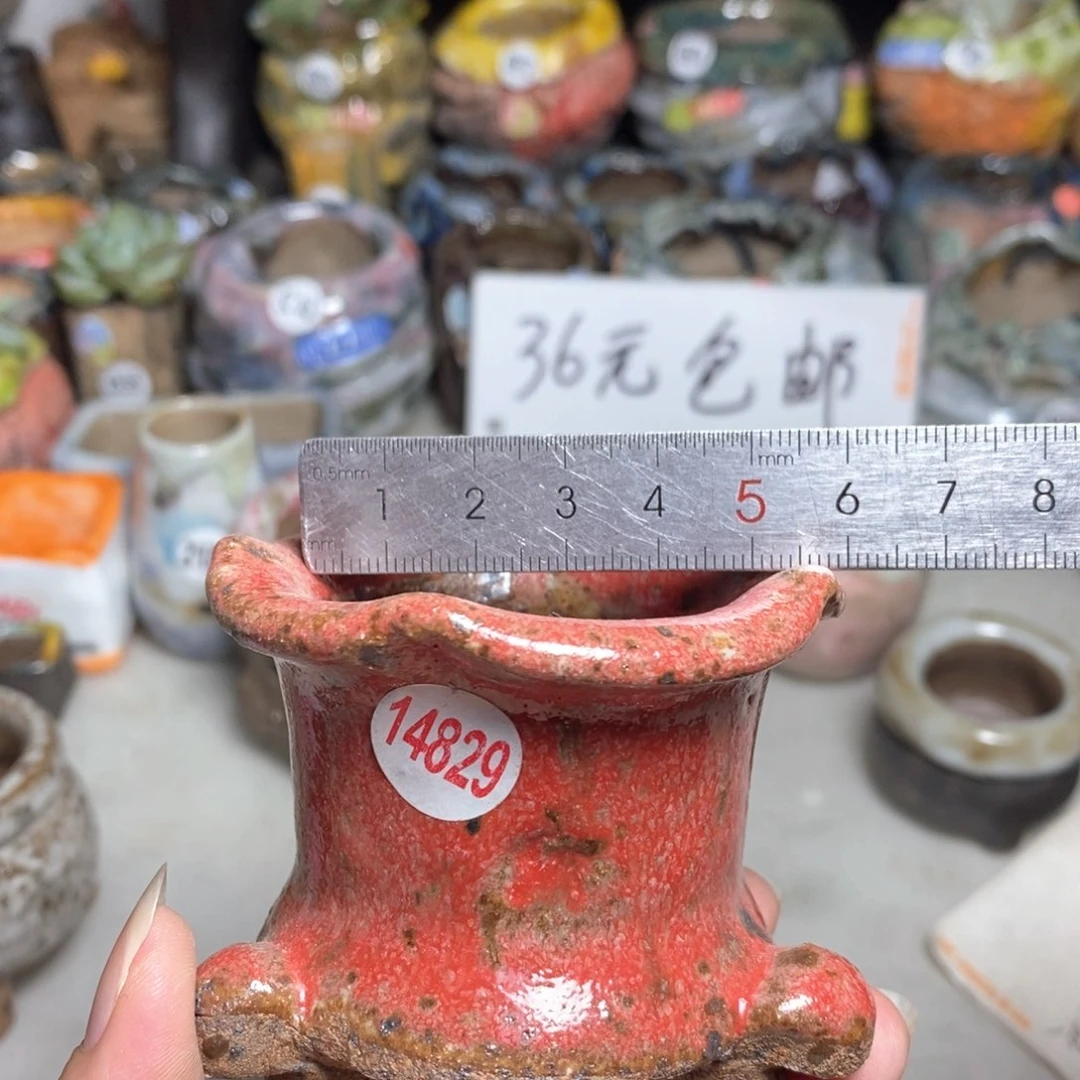 拍3送一个9.9拍5送同款