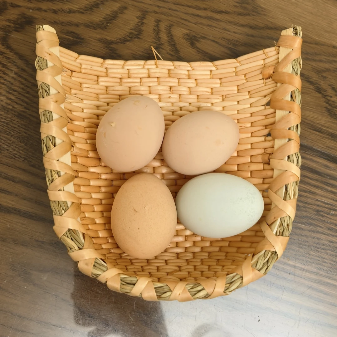 迷你小簸箕长15厘米左右