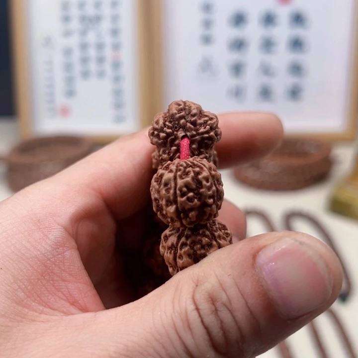 金刚菩提吊坠18尺寸原生态霸王花