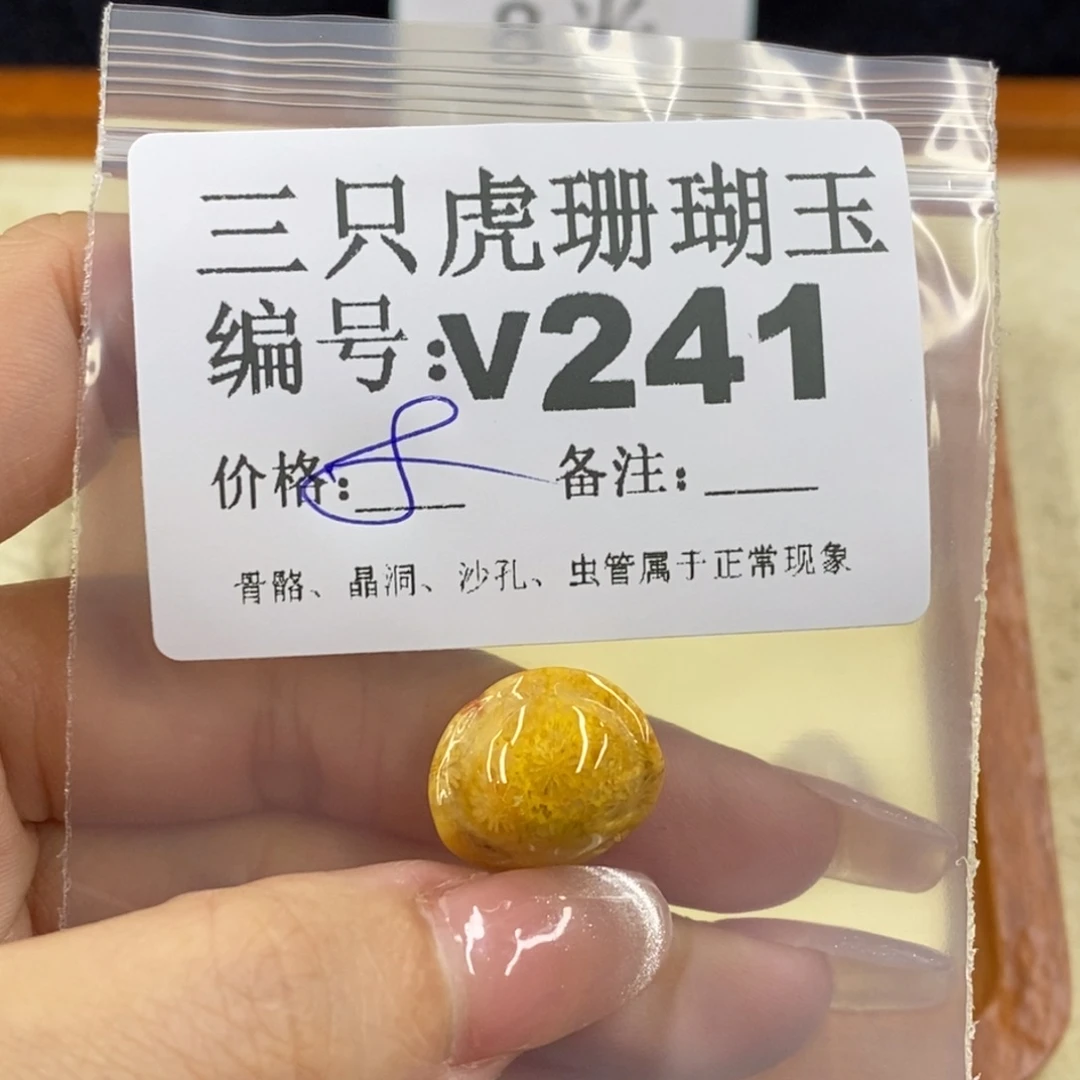 硅化珊瑚(珊瑚玉)未镶嵌1甄**儿