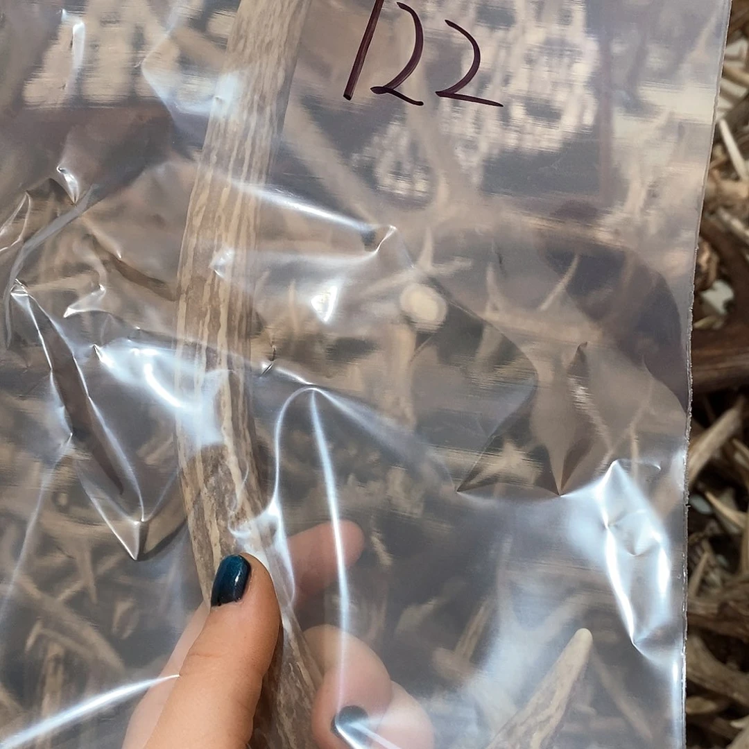 鹿角鹿角鹿角鹿角