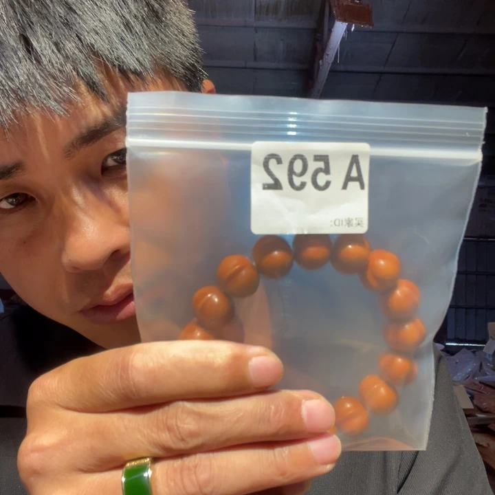 大叶紫檀（黑酸枝木类）592