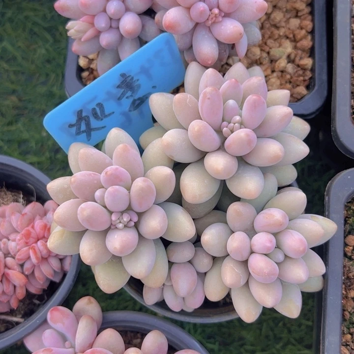 健健康康平平安安