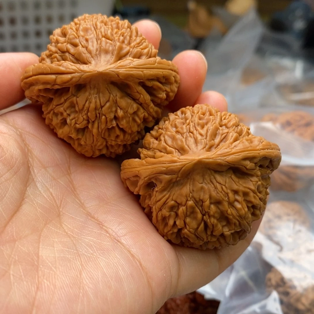 文玩核桃把件毕业水龙47尺