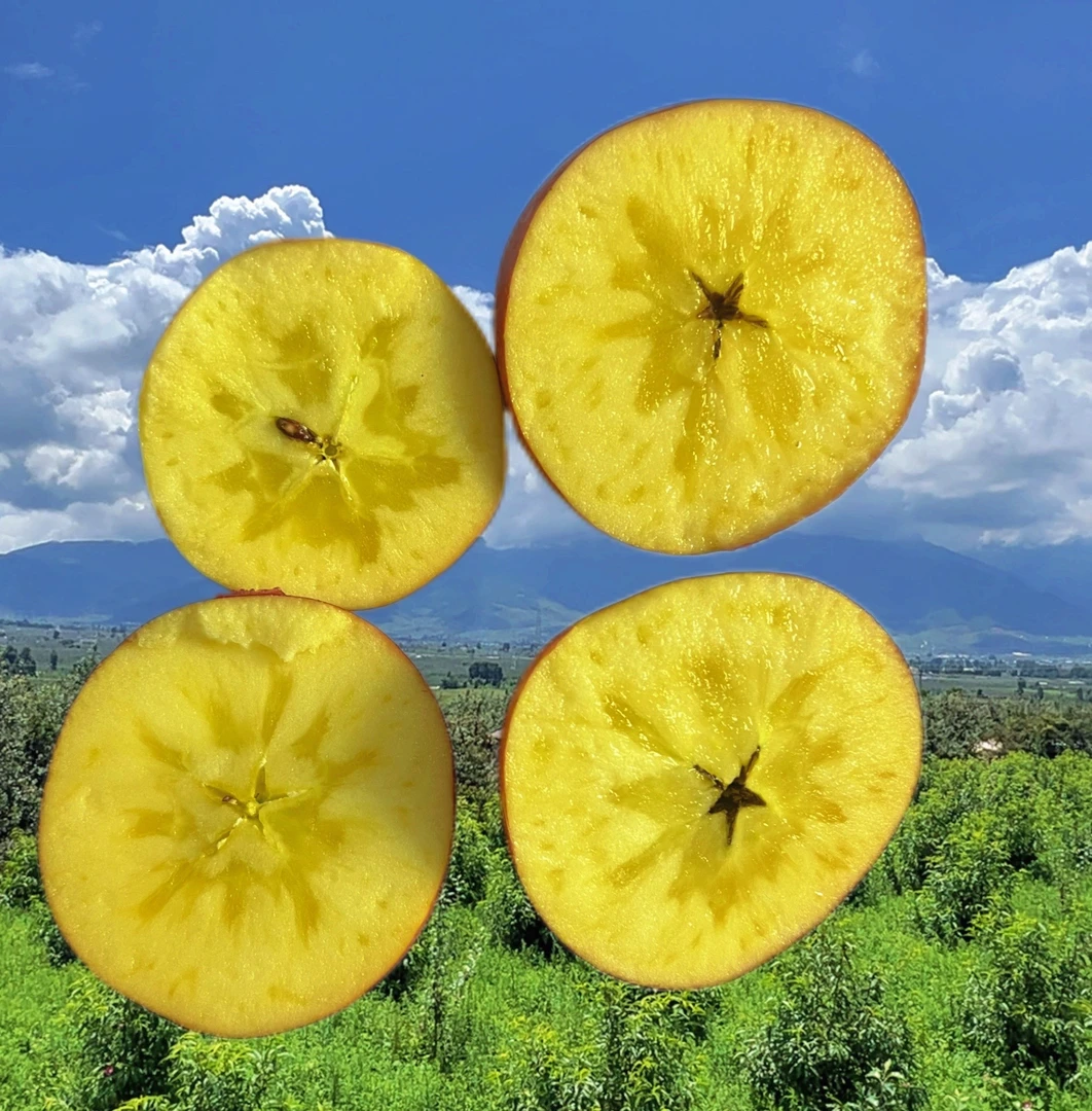 【普通款】正宗大凉山丑苹果富士苹果应季苹果脆甜多汁