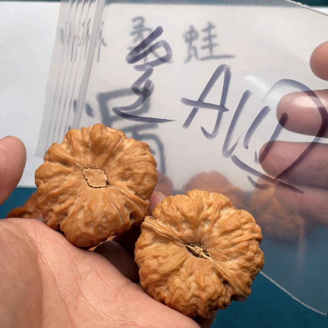 核桃手串/手链W835753735753