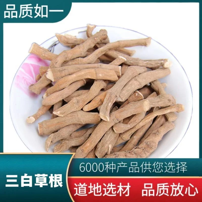 三白草根中药材 三白草根 天性草 百节藕 白花莲 塘边藕 水荖根