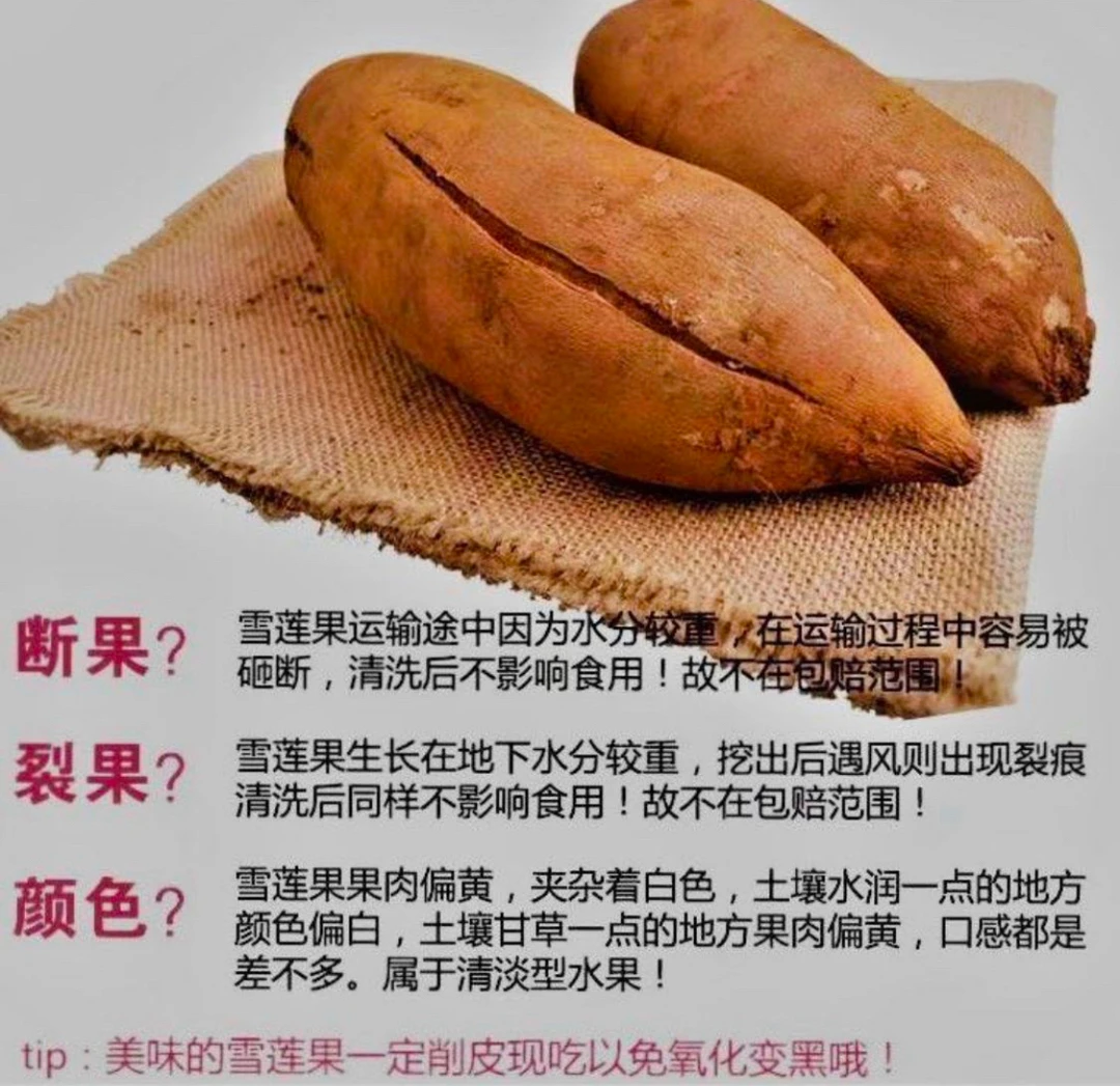 雪莲果  云南新鲜现挖现发雪莲果