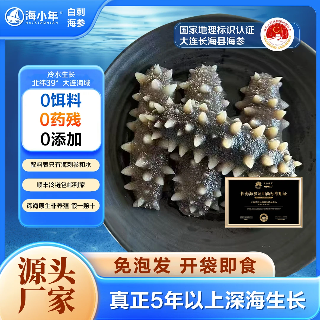 海小年【黄金海域】大连长海白刺野参0添加非养殖滋补圣品即食海参