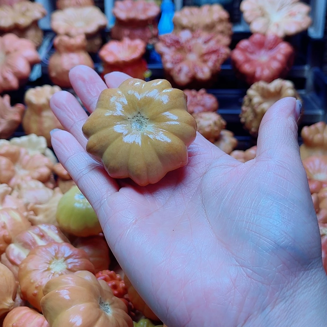 不***乎陶瓷墨西哥葫芦可盘可摆