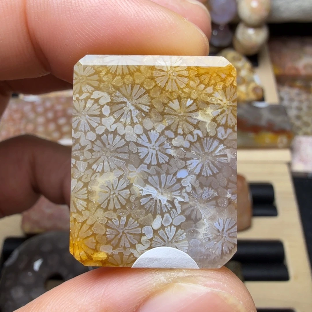 硅化玉未镶嵌天然有机玉石保真色
