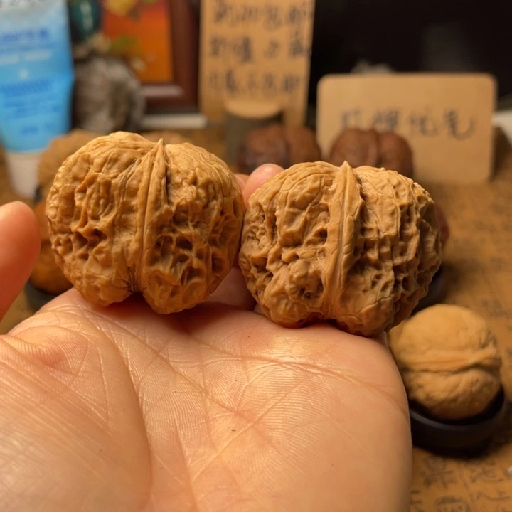 积*云南铁核桃默认微瑕13