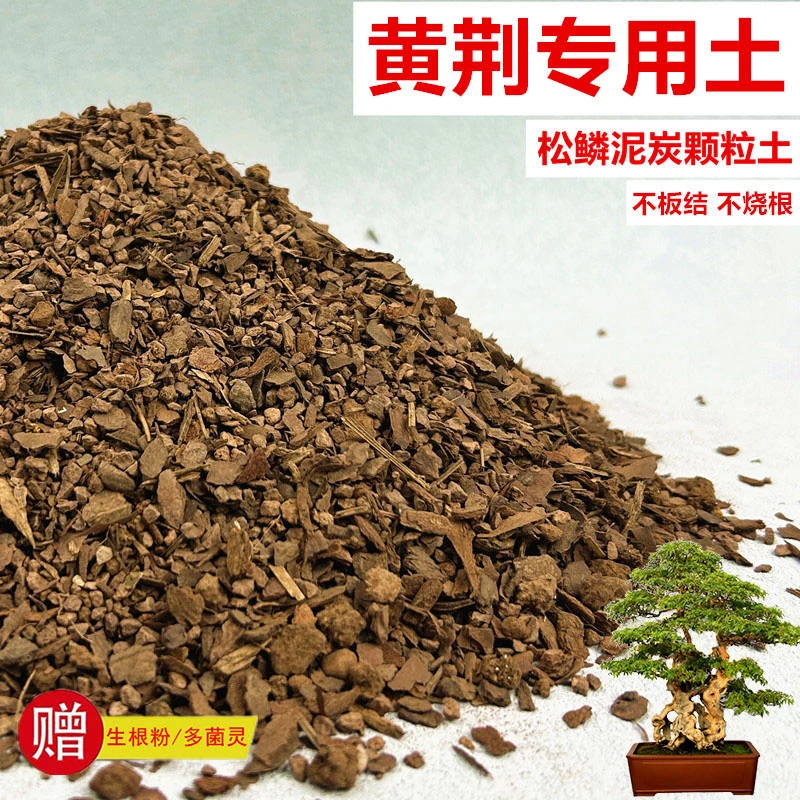黄荆专用土花土赤玉土风化土盆栽盆景营养土酸性沙质土种植土
