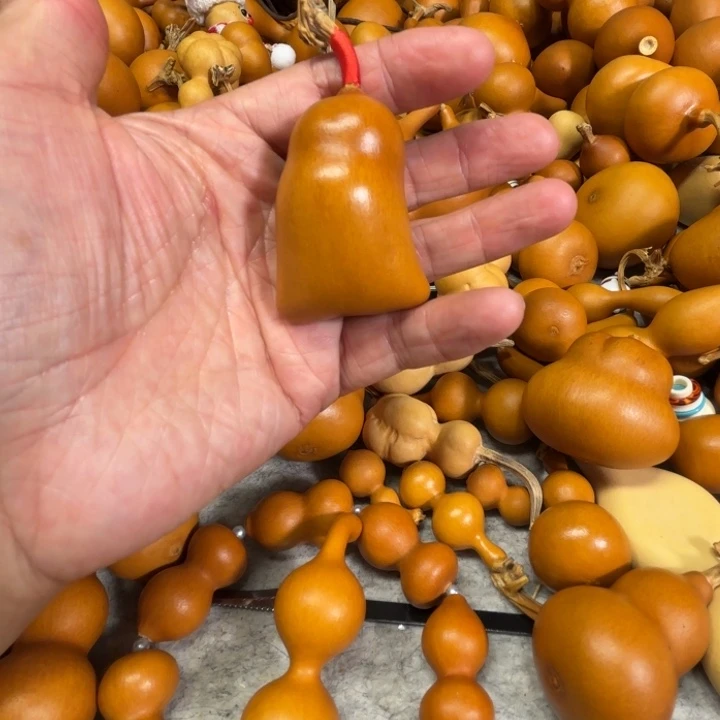 林***林零零零的一把钱袋子