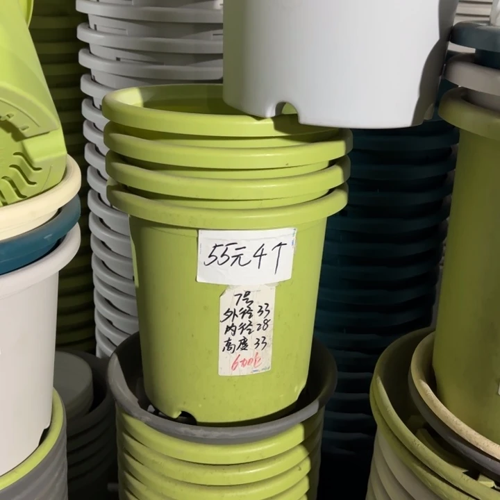 微瑕7#口径33无托果绿6个