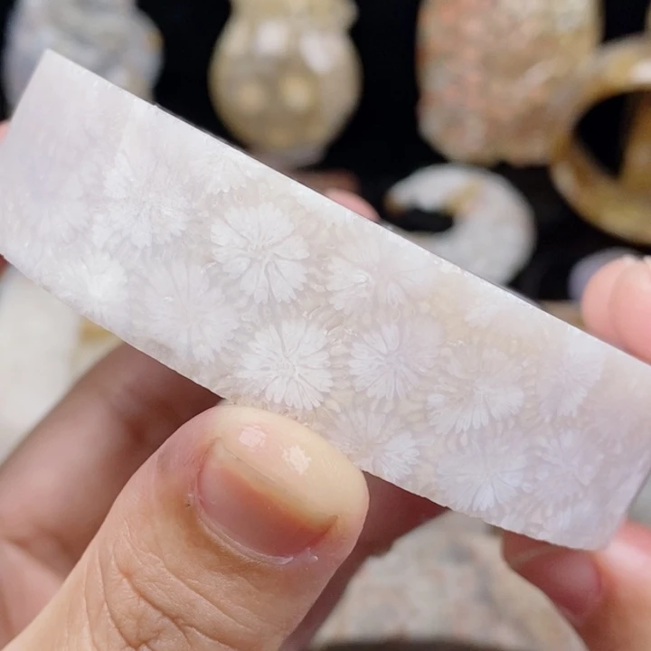 未镶嵌手镯硅化玉