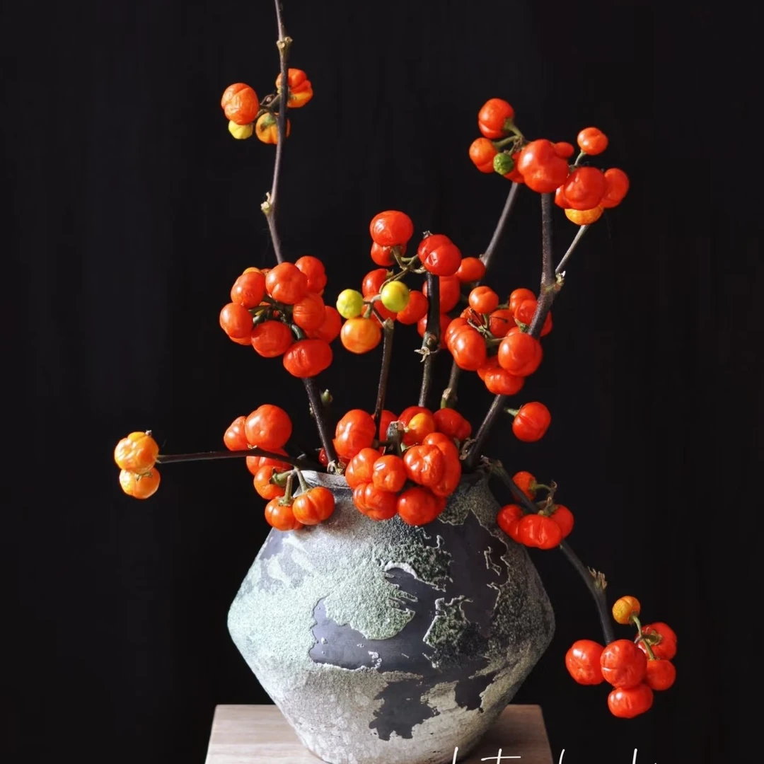 云南鲜花高品质居家观赏小南瓜云南基地直采直发五代果花瓶落霞