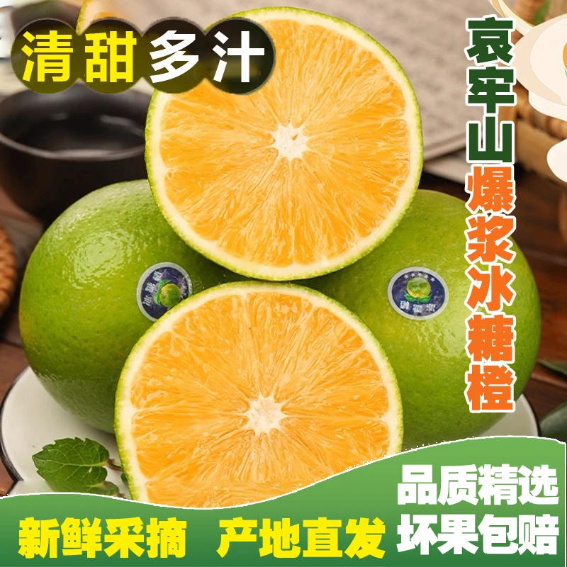 【老树甄选】哀牢山爆浆冰糖橙5斤应季纯甜现摘现发爆汁清甜