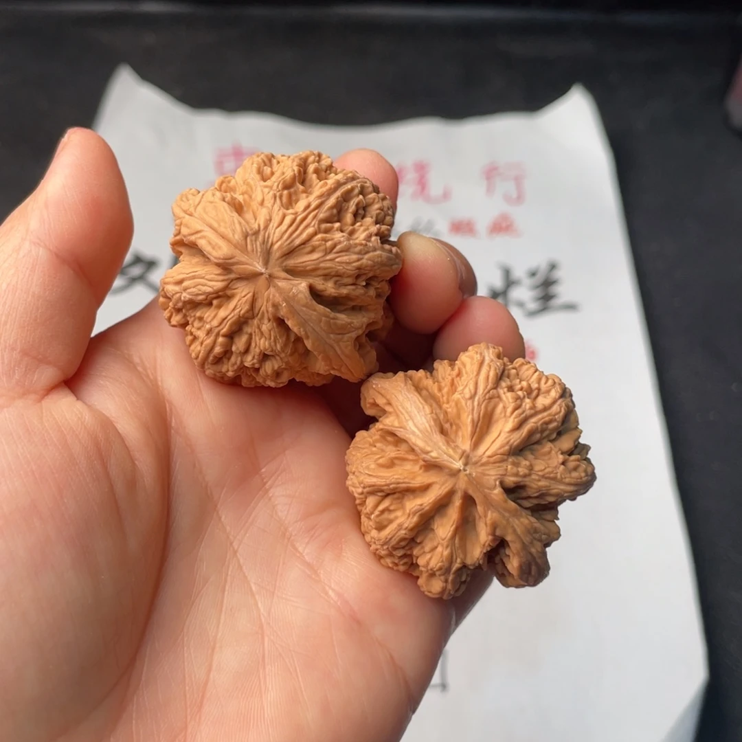 文玩核桃把件912。41粗筋有黄