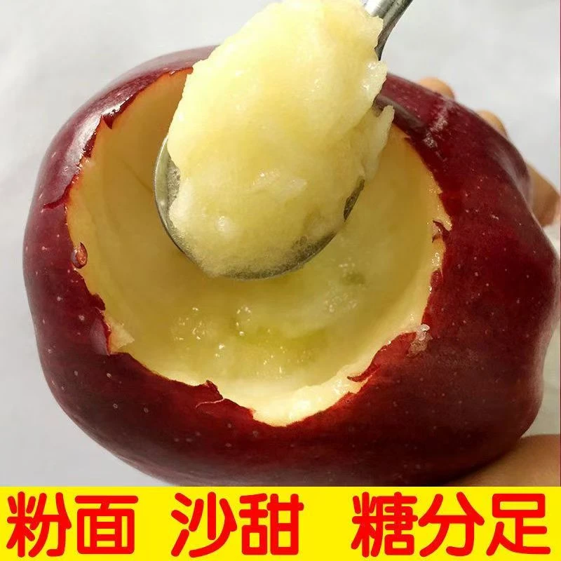 甘肃天水特产粉甜花牛苹果不打蜡产地直发新鲜现摘水果当季