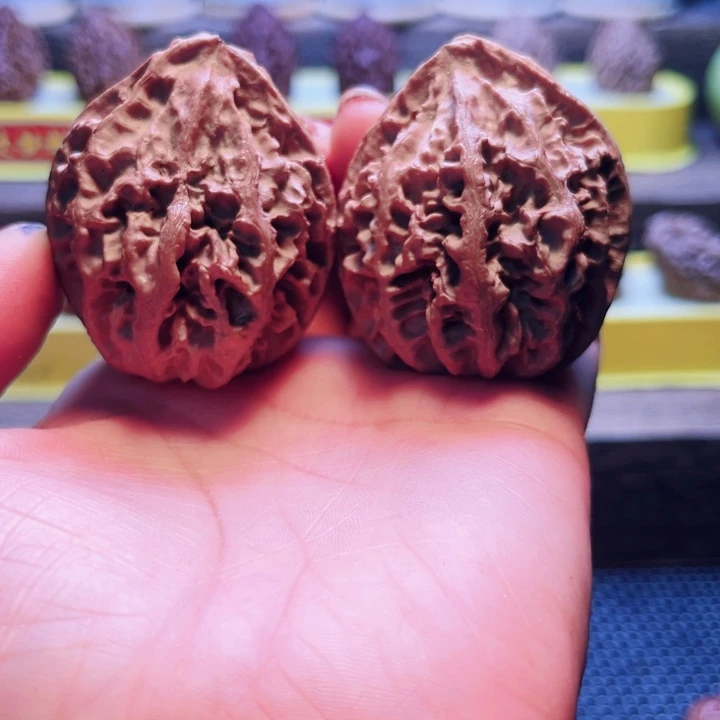 核桃10号车放漏漏漏哦与漏