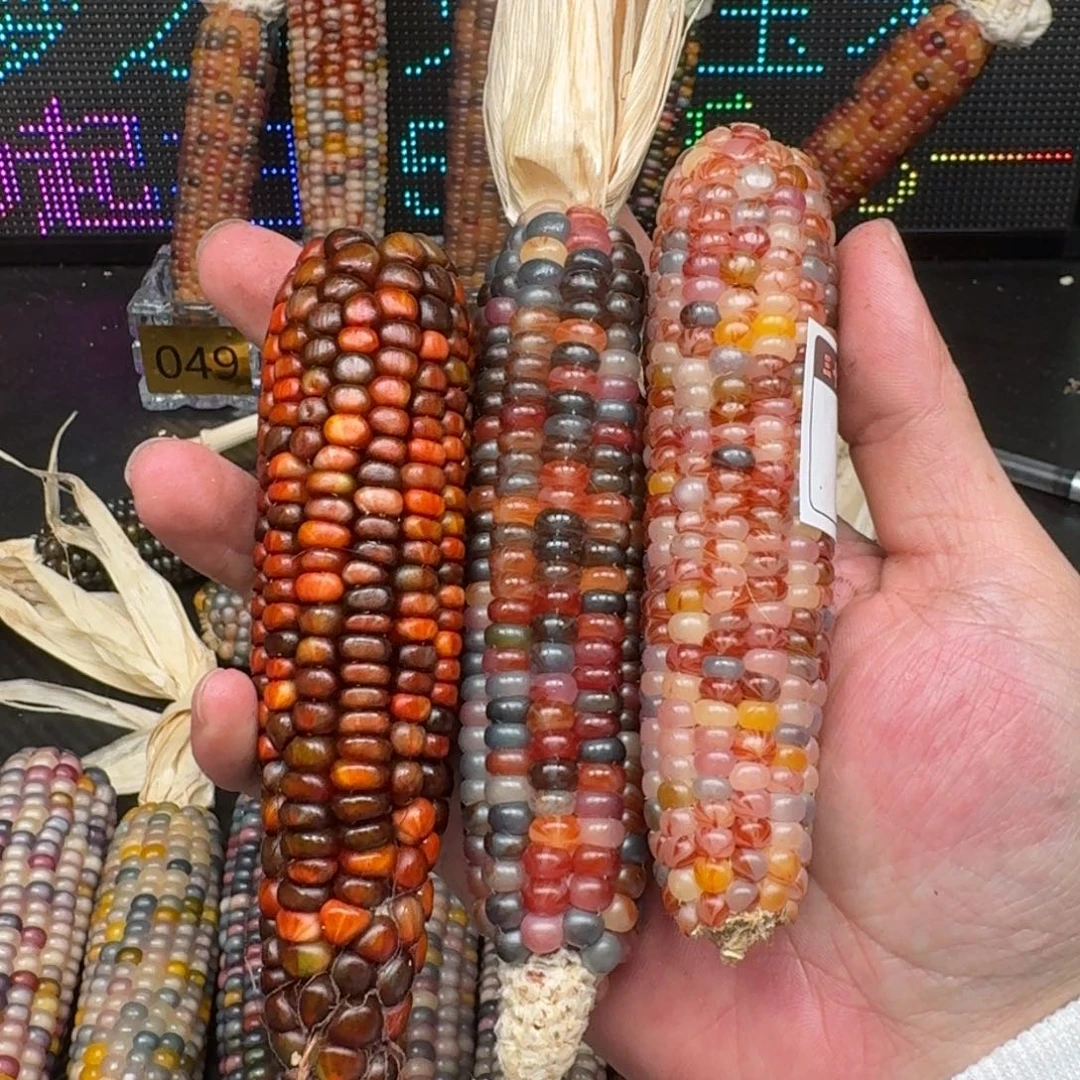 柏香籽/百香籽吊坠?****?