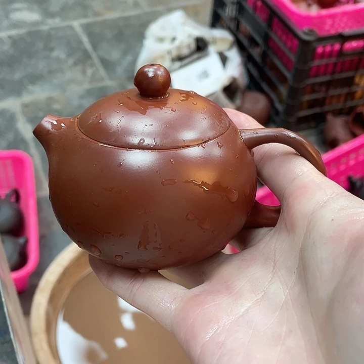 紫砂哈哈哈哈哈哈哈哈哈哈