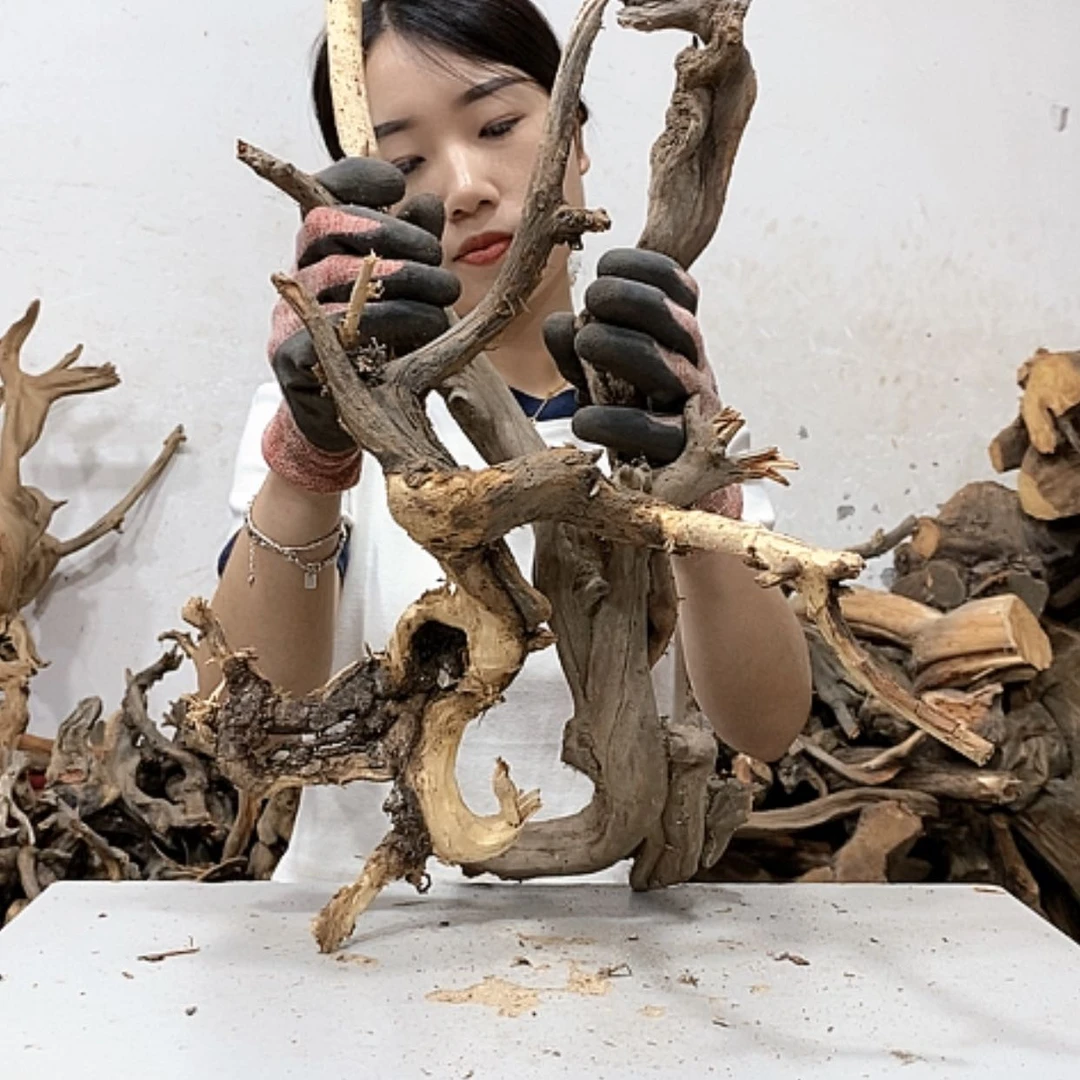 【闪购商品】柏木弓*师我们都是好孩子啊