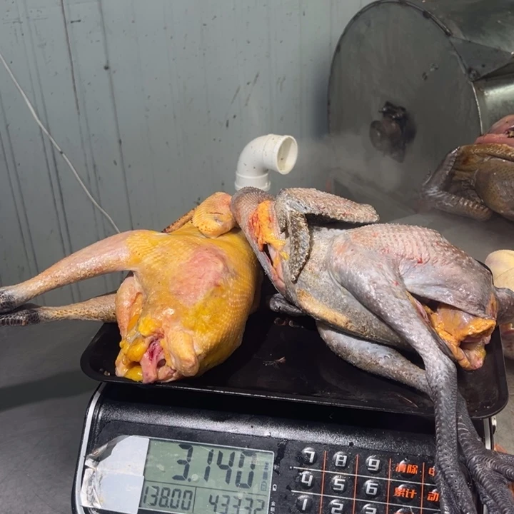 包装一号土鸡中国大陆昵