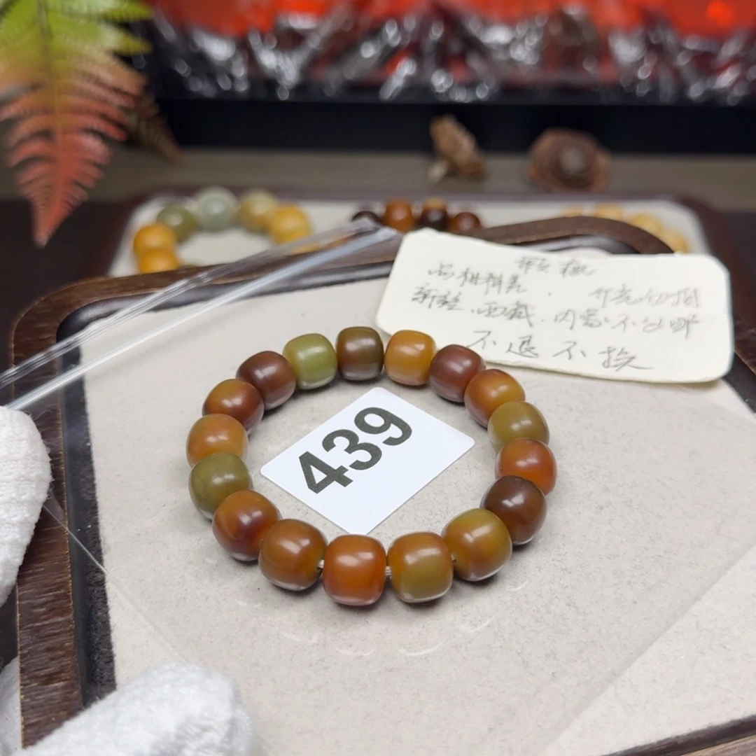 菩提根/象牙果吊坠近全13