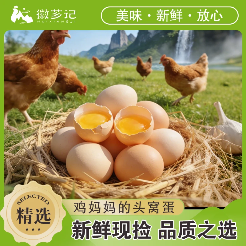 徽芗记【顺丰直发】散养初生蛋无抗无激素无农残天然五谷农家鸡蛋