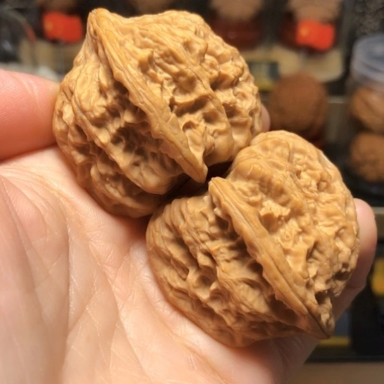 精品：火焰马蹄货头