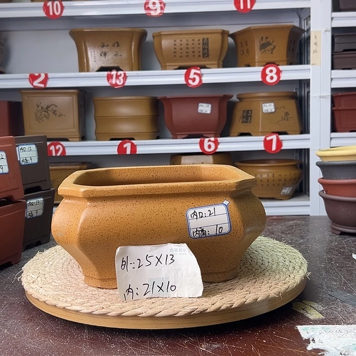 紫砂花盆蛇年大吉