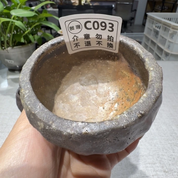 陶盘柴烧新品福利多多