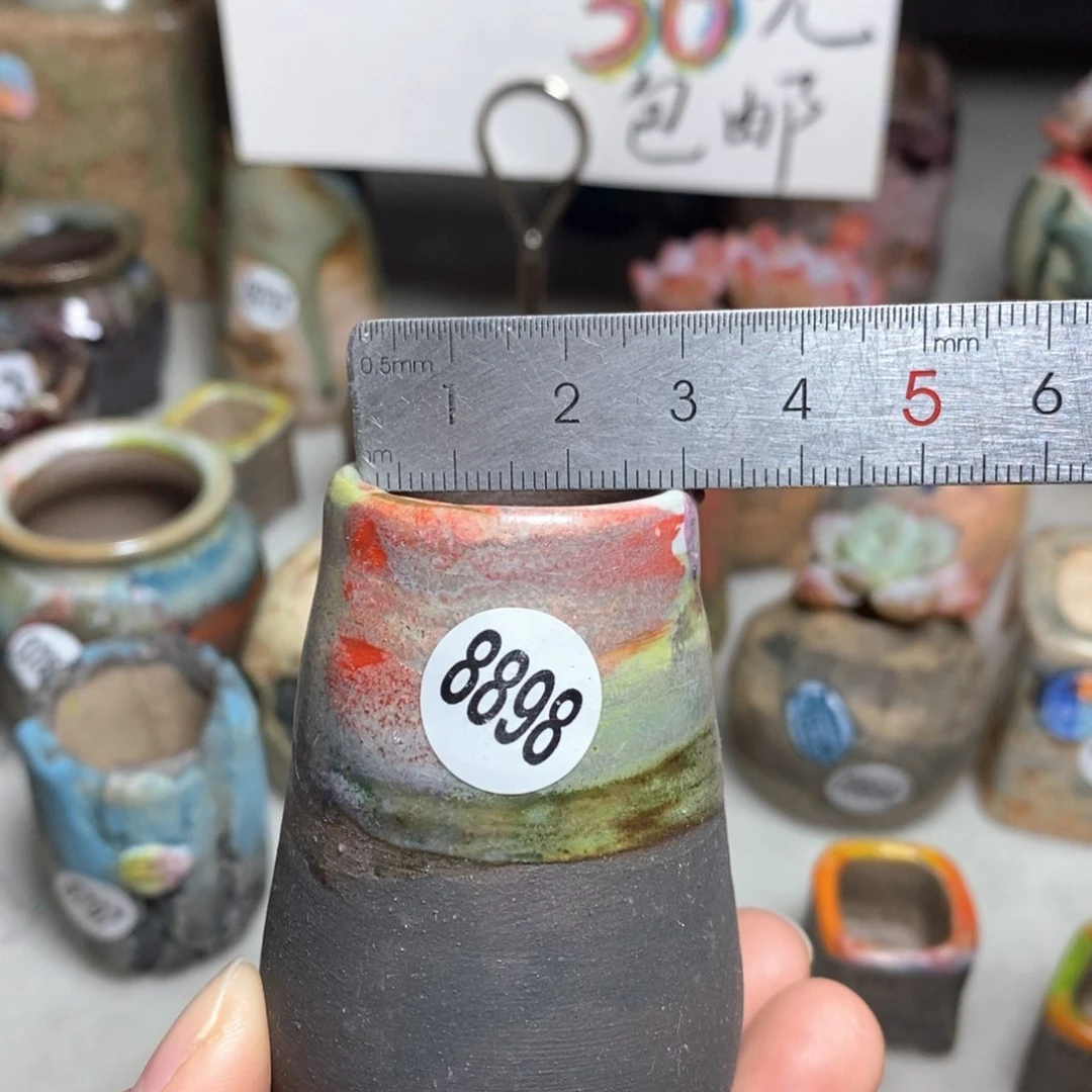 花盆拍5送一个小礼物