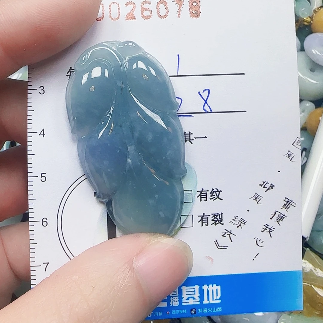 翡翠未镶嵌颈饰036