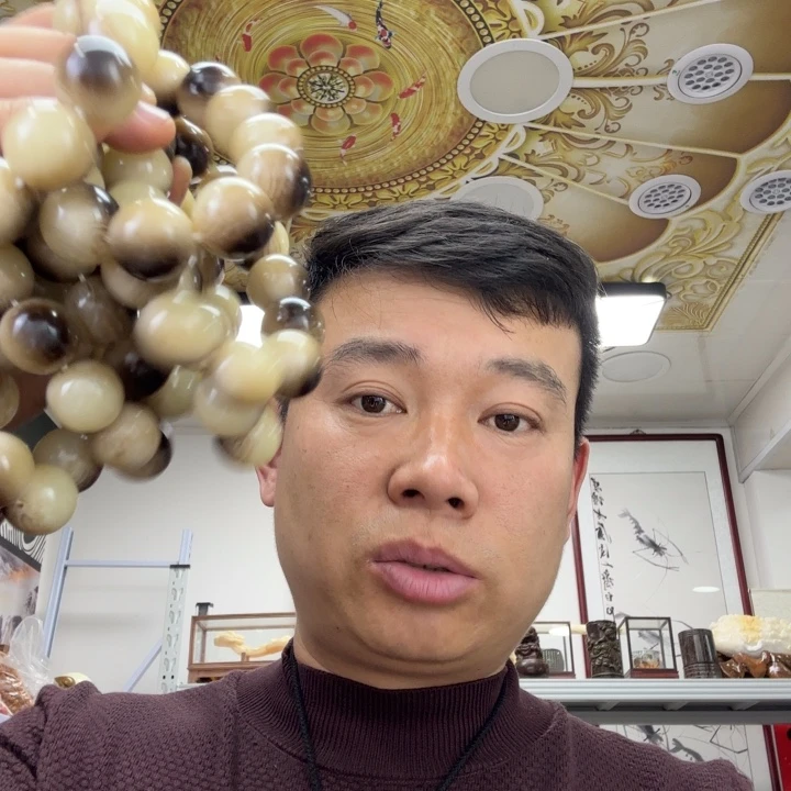 树脂非金属2685。