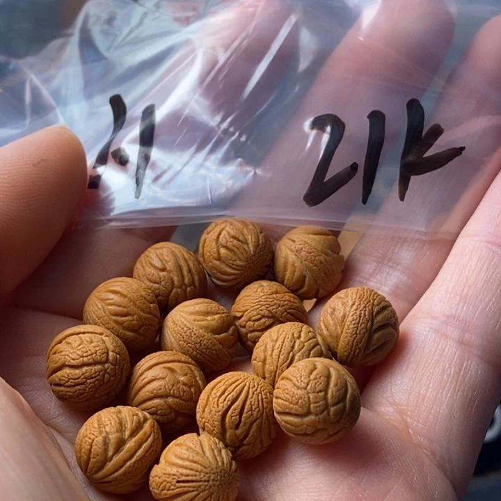 手串文玩核桃秦岭野生龙纹桃核11