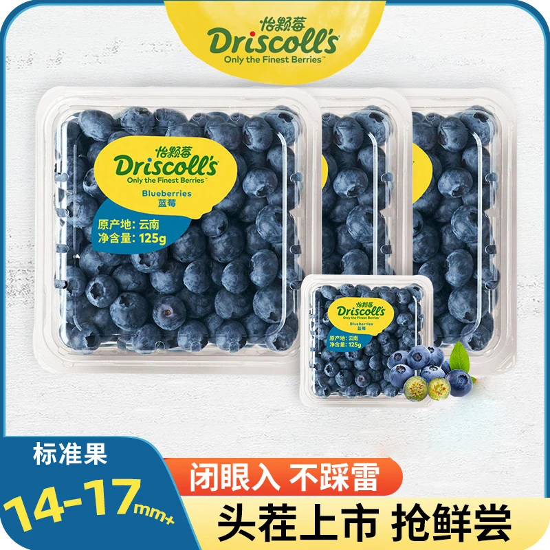 【花香脆甜】怡颗莓蓝莓 当季限量版云南产区 蓝莓125g/盒