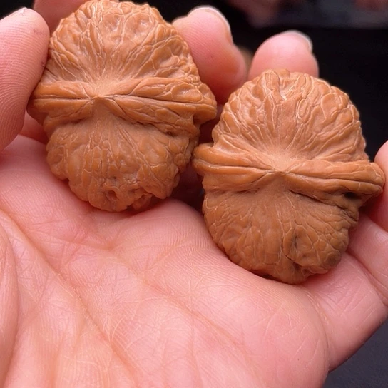 无**悔核桃核桃核桃核桃