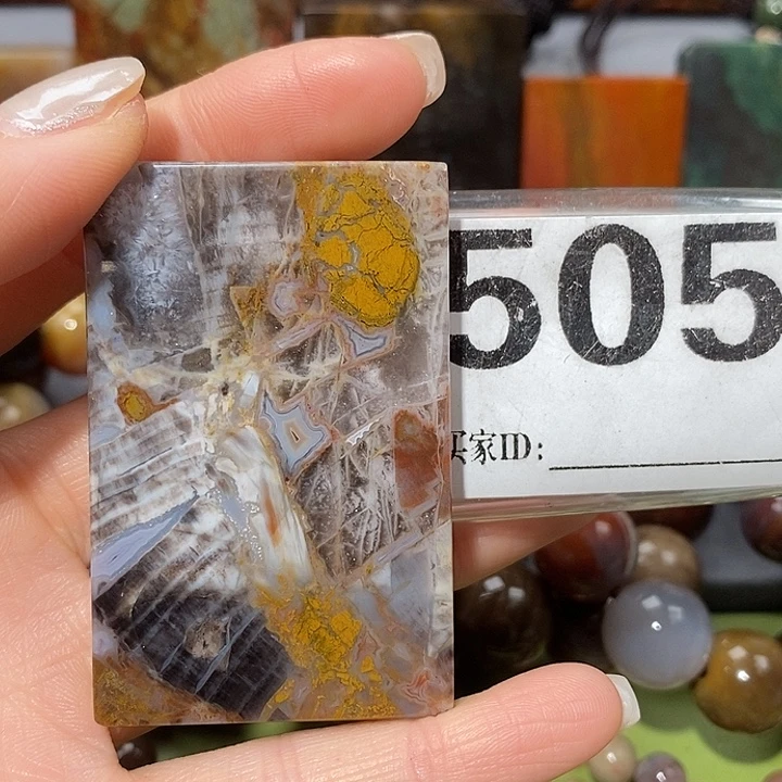 硅化玉未镶嵌天然北票树化玉吊坠