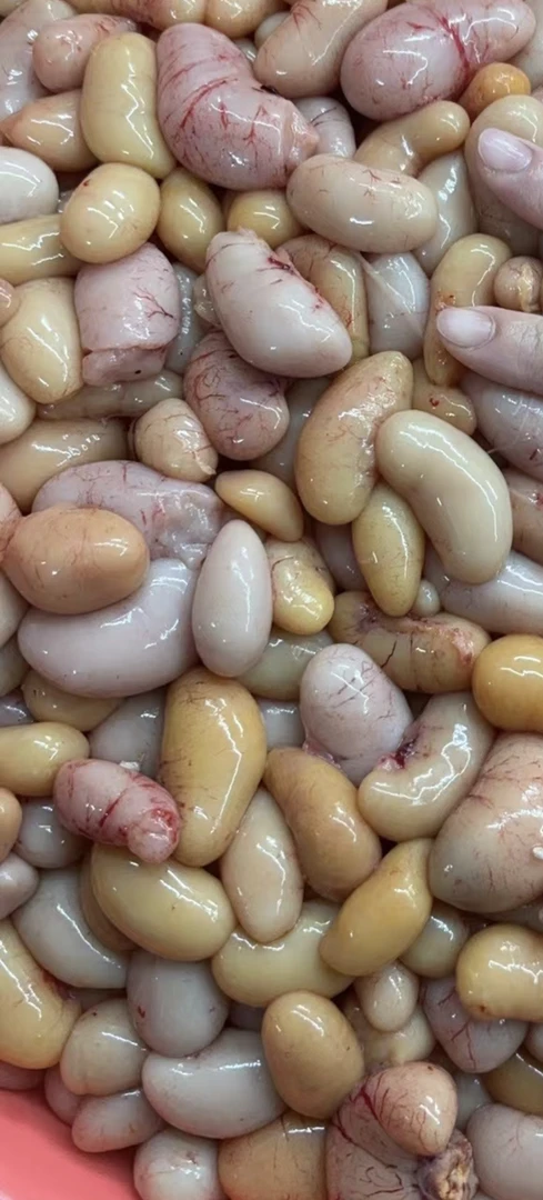 新鲜鸡腰子鸡卵子公鸡蛋适合火锅烧烤的生鲜食材