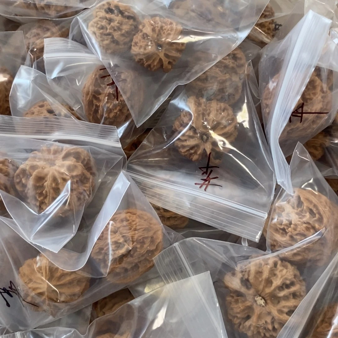 文玩核桃吊坠苹果园