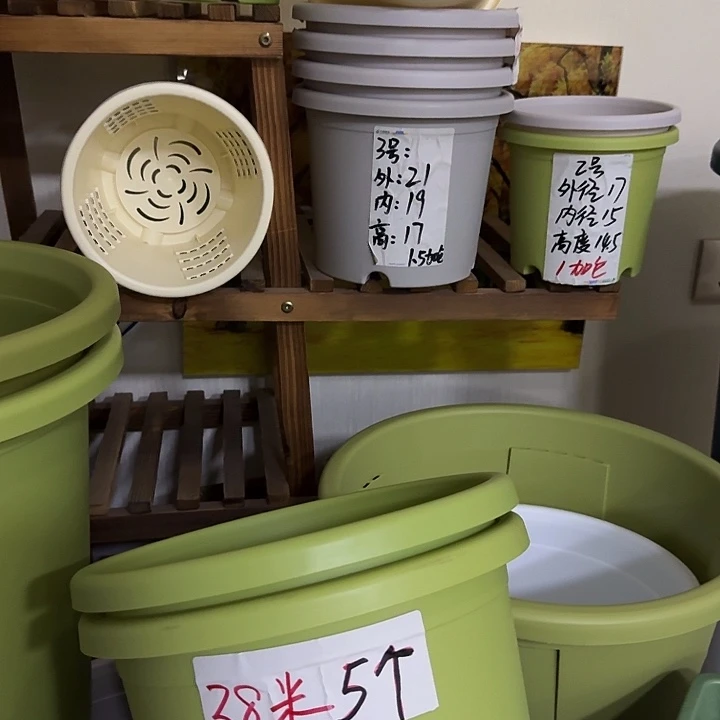 墨绿色240托盘20个