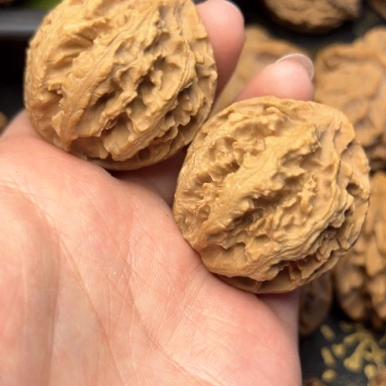 文玩核桃把件秦岭核桃10