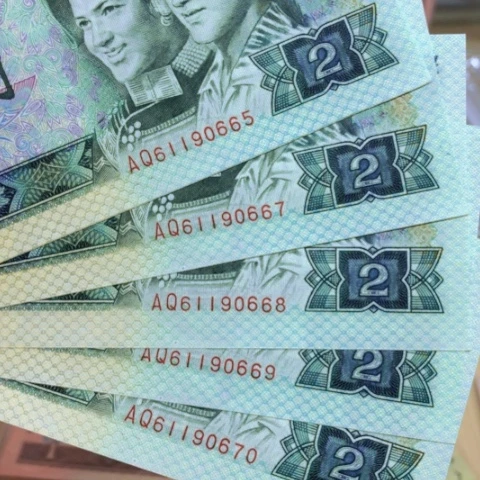 塑料枫***✨802散张5张————————