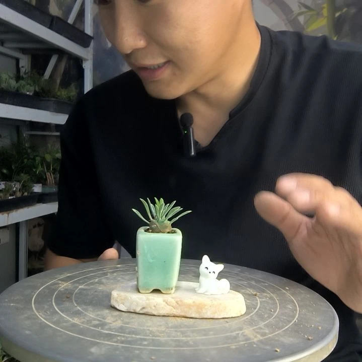 M****闪中青园艺一物一拍43