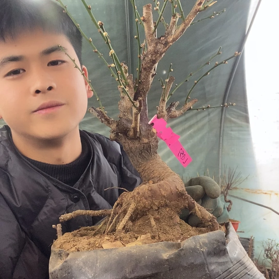 完全开放1111111111